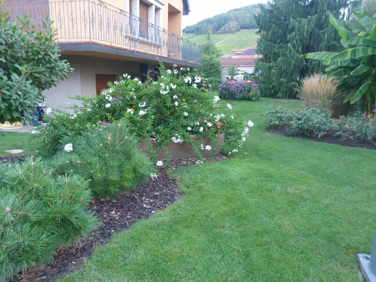 Апартаменты La Rocatelle Andlau-au-Val Экстерьер фото