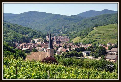 Апартаменты La Rocatelle Andlau-au-Val Экстерьер фото